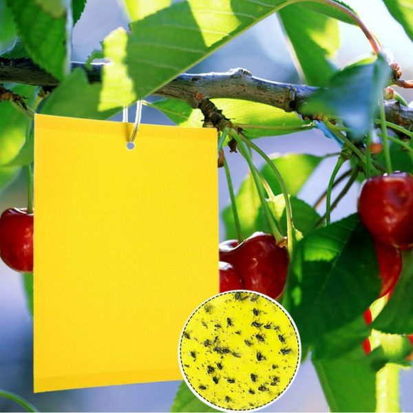 Double sided yellow sticker | Rs 10 each