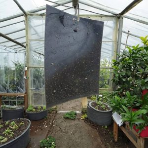 Double sided Sticker || Rs 10